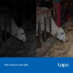 TP-Link Tapo C320WS Outdoor Security Wi-Fi Camera—4MP QHD, Full-Color Night Vision, IP66 Weatherproof - Image 5